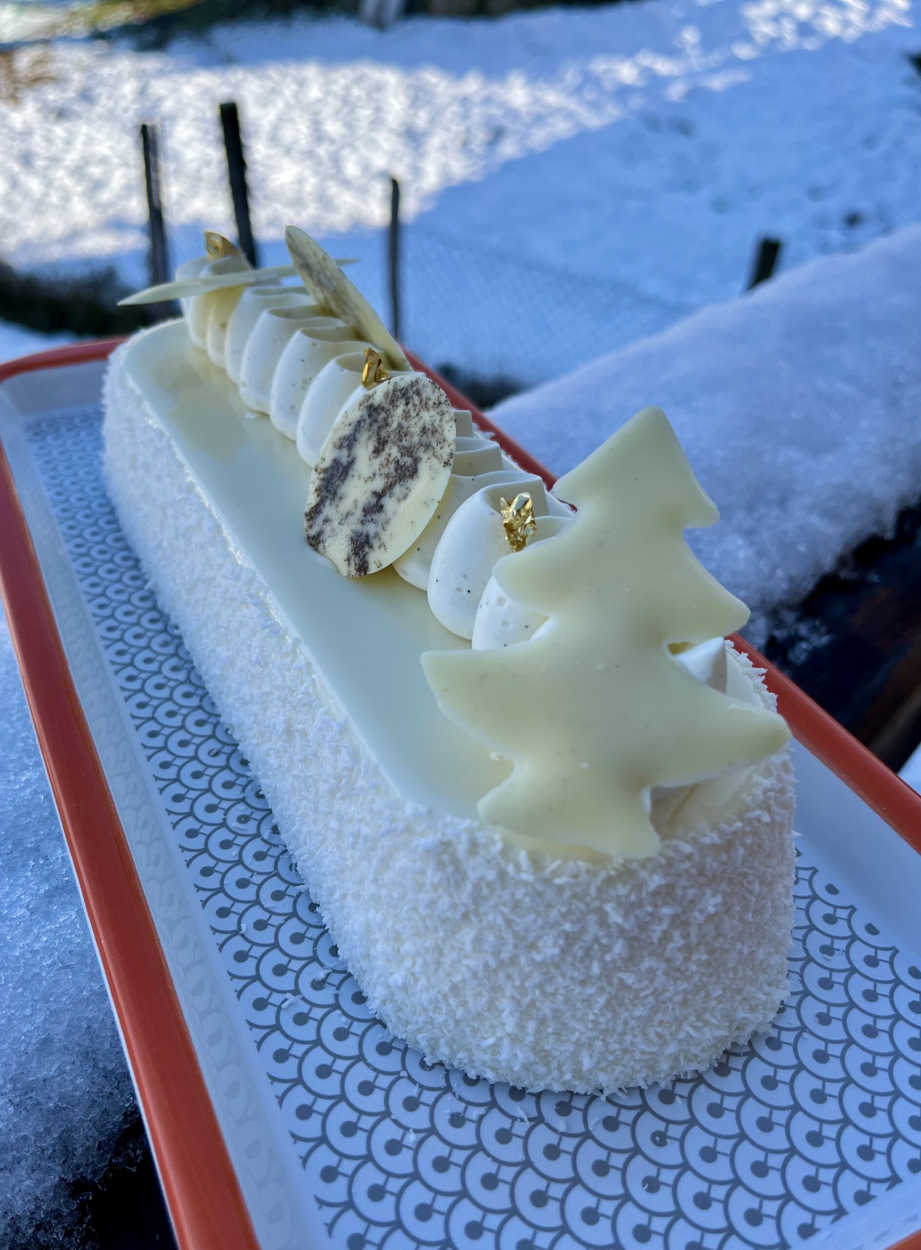 Entremet « Bûche Coco / agrumes »